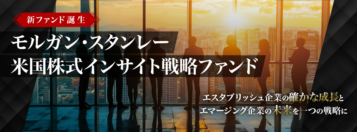 モルガン・スタンレー 米国株式インサイト戦略ファンド